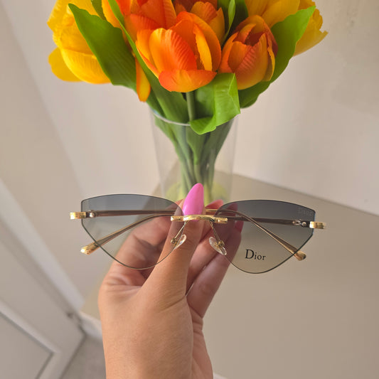 Dior 521